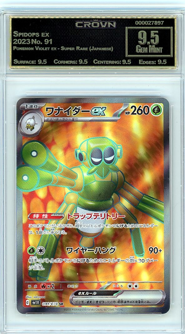 Spidops ex
