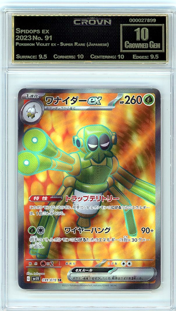 Spidops ex