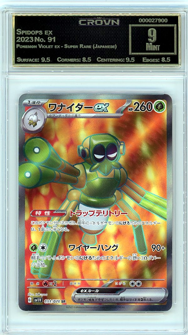 Spidops ex