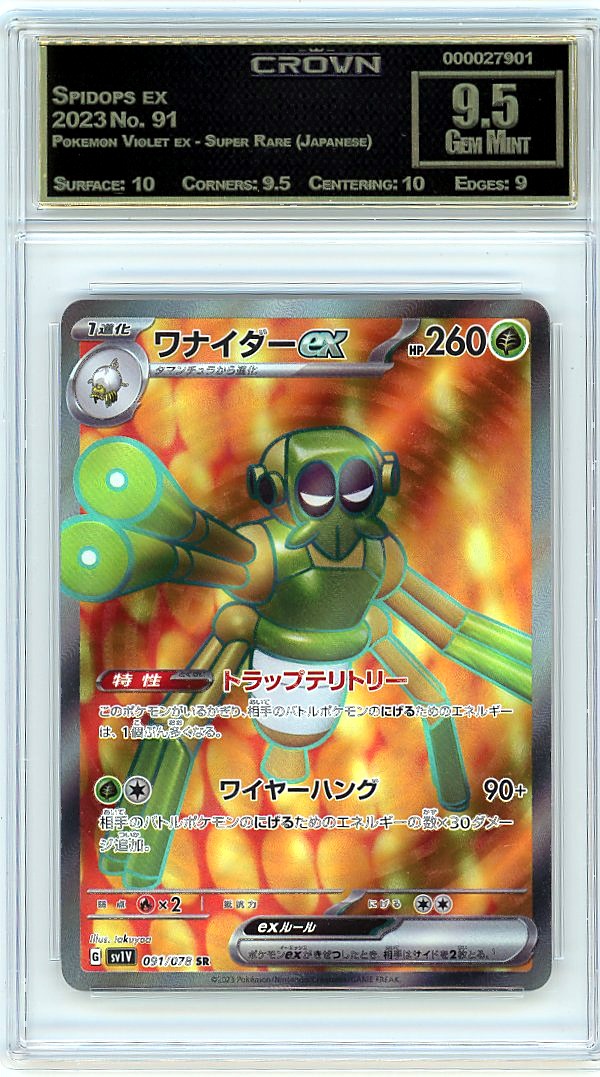 Spidops ex