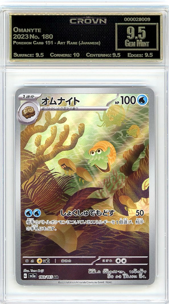 Omanyte