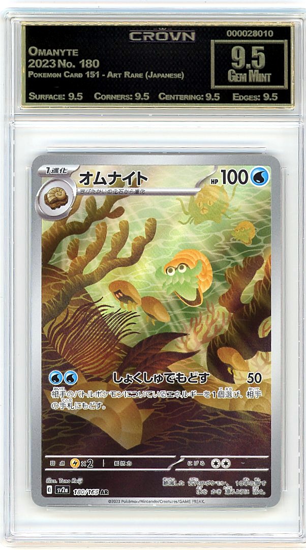 Omanyte
