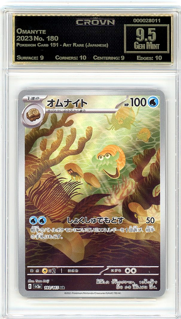 Omanyte