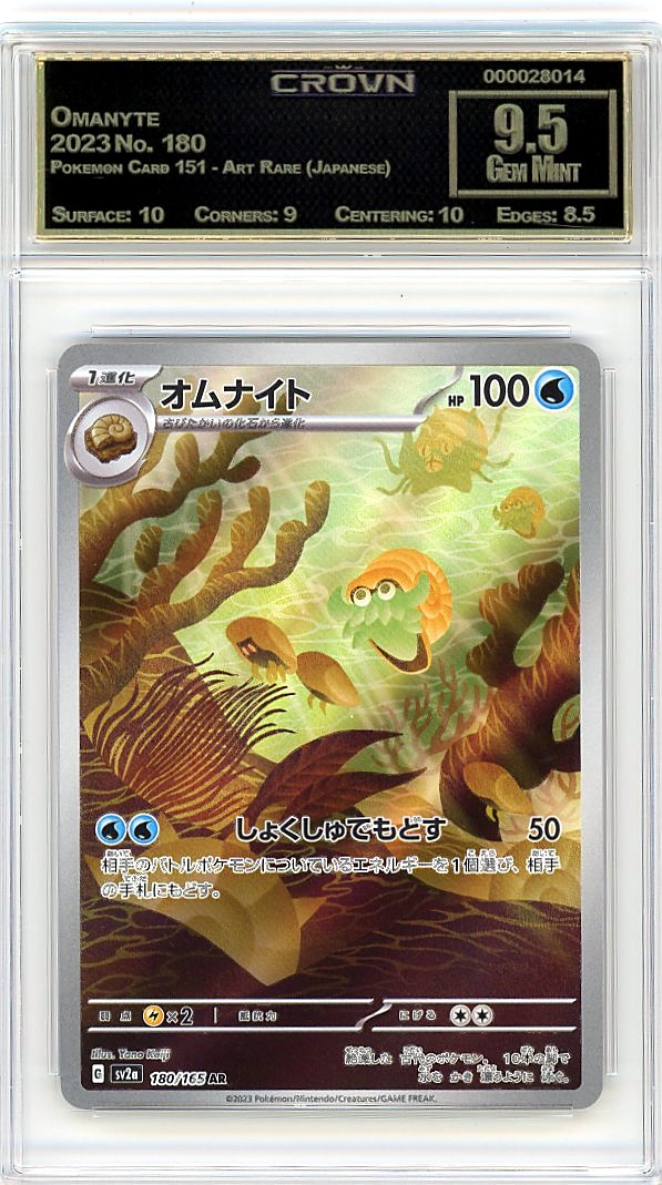 Omanyte