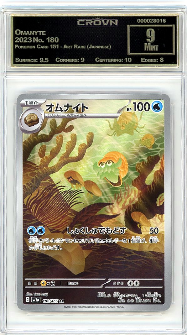 Omanyte