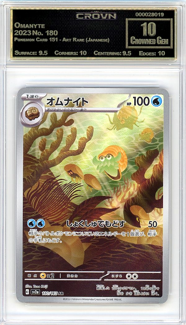 Omanyte