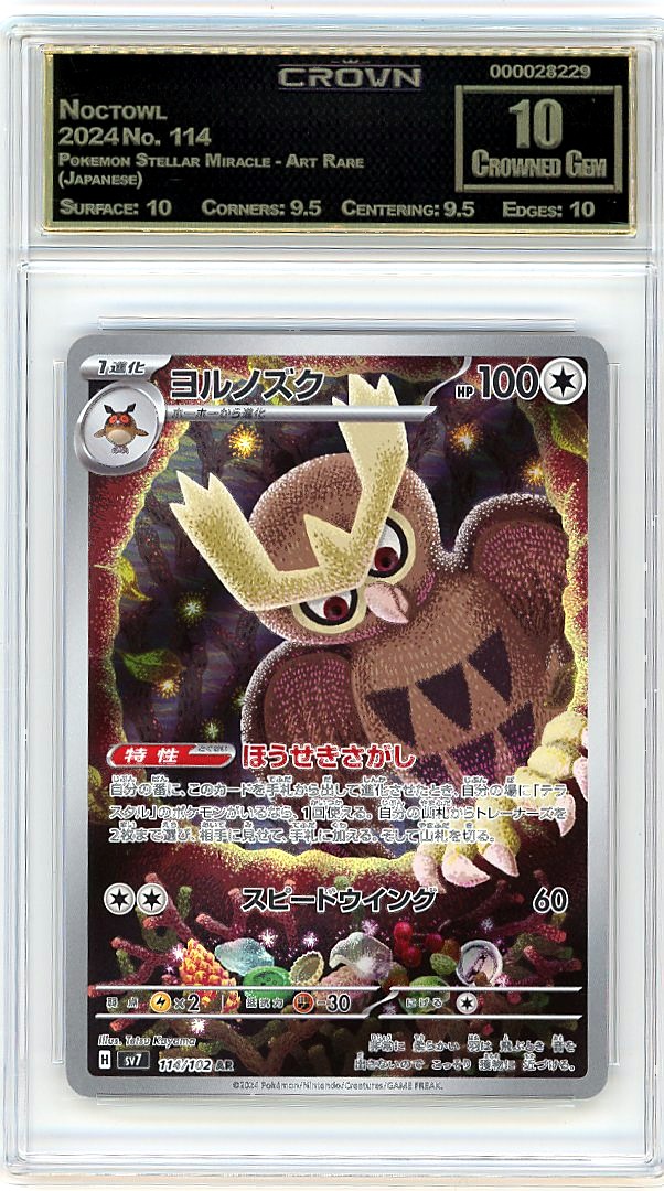 Noctowl