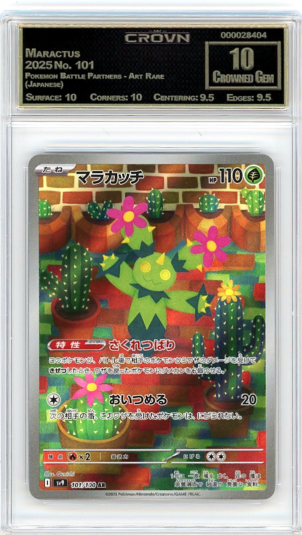 Maractus
