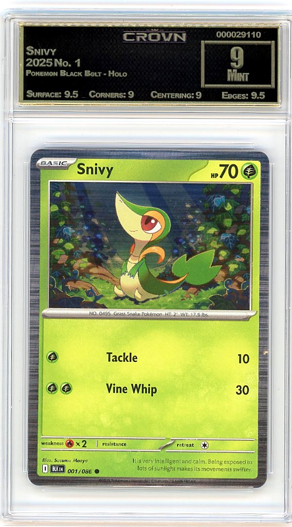 Snivy