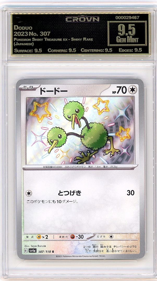 Doduo