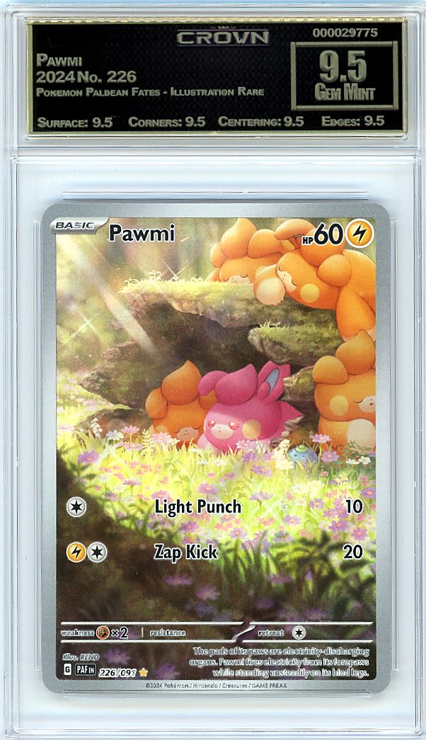 Pawmi