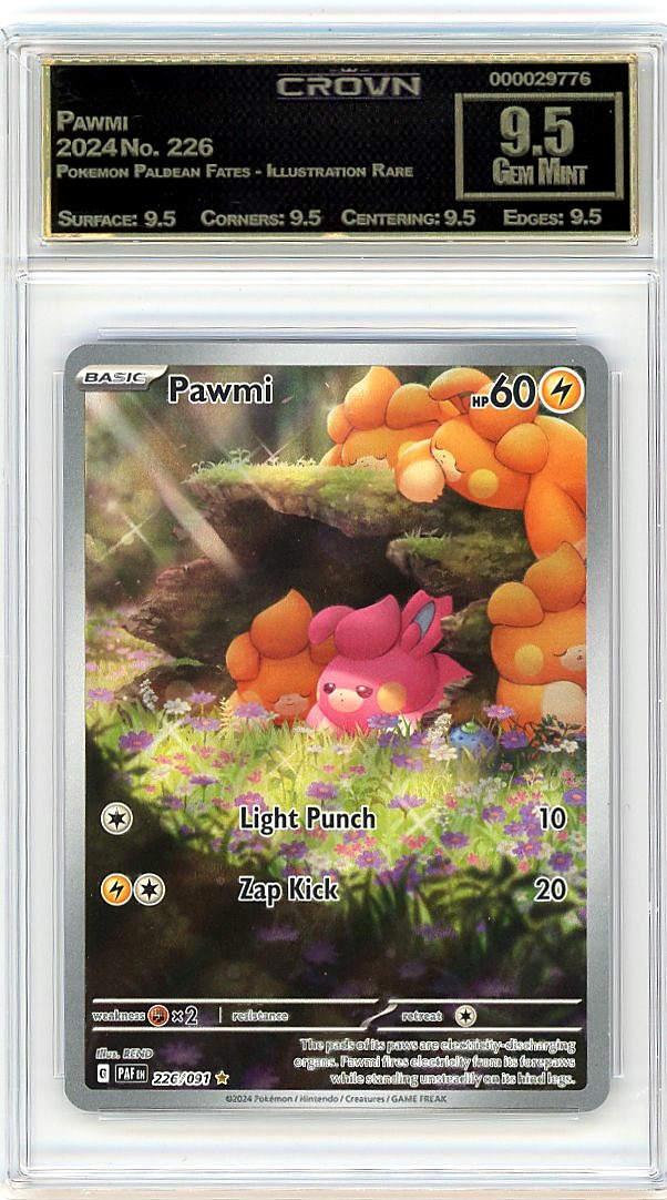Pawmi