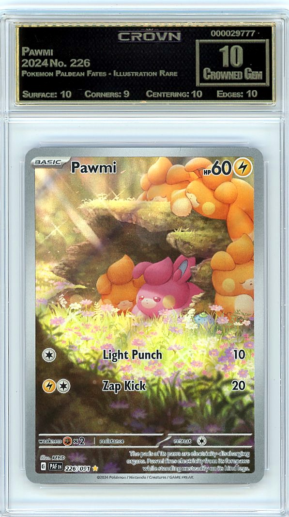 Pawmi