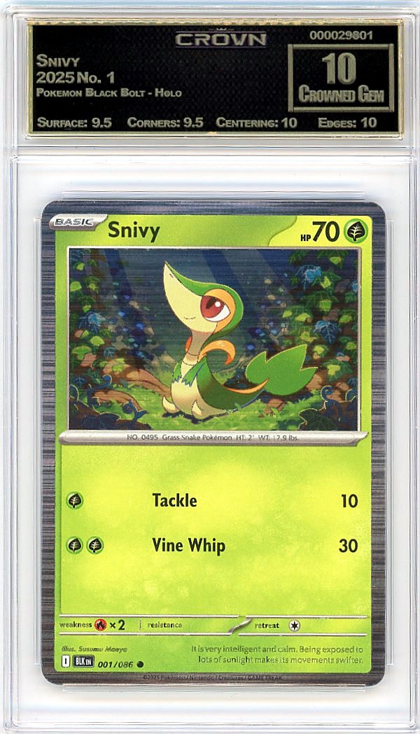 Snivy