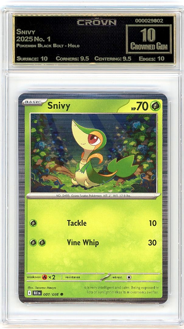 Snivy