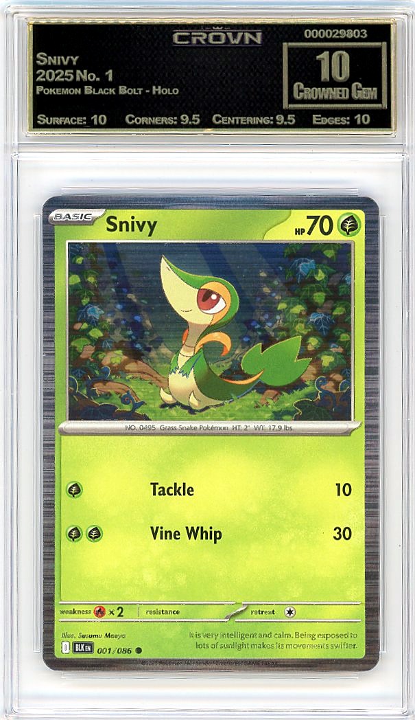 Snivy