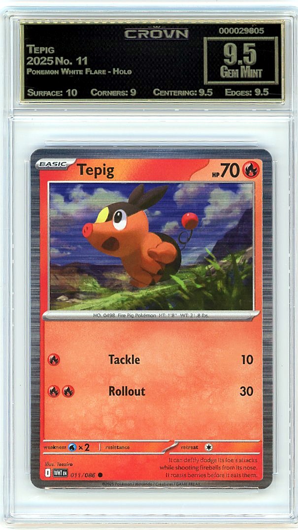 Tepig