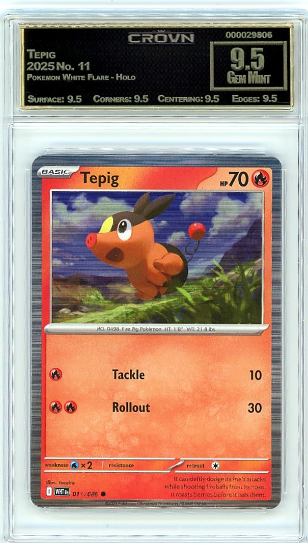 Tepig