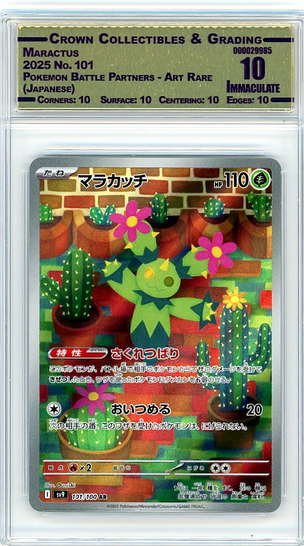 Maractus