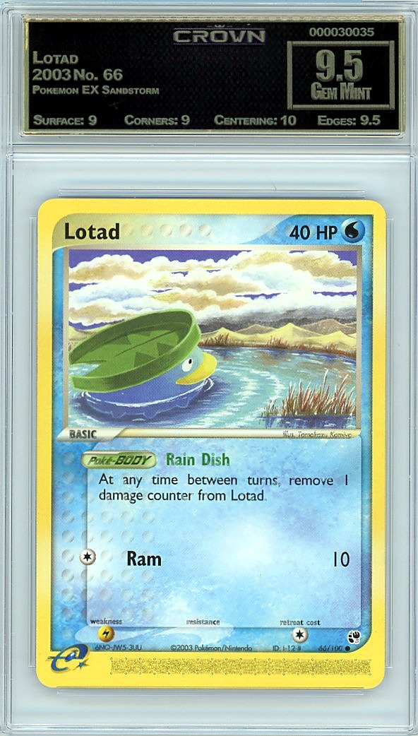Lotad
