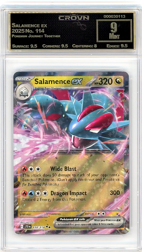Salamence ex