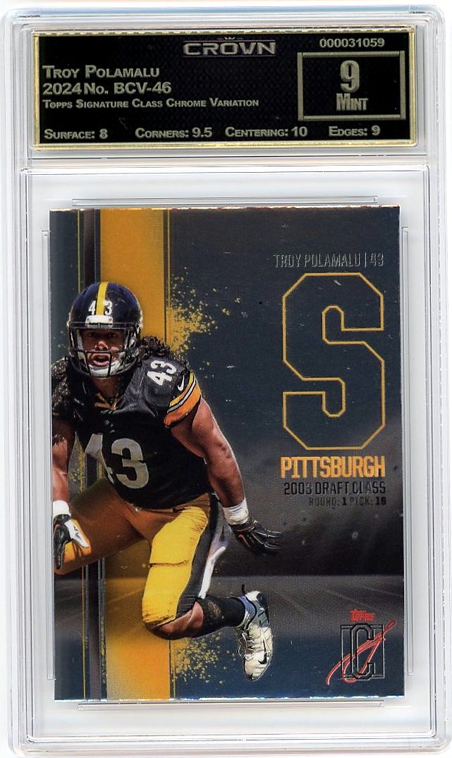 Troy Polamalu