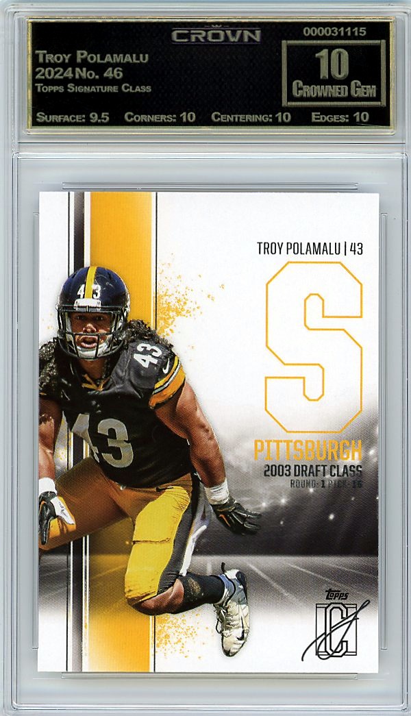 Troy Polamalu
