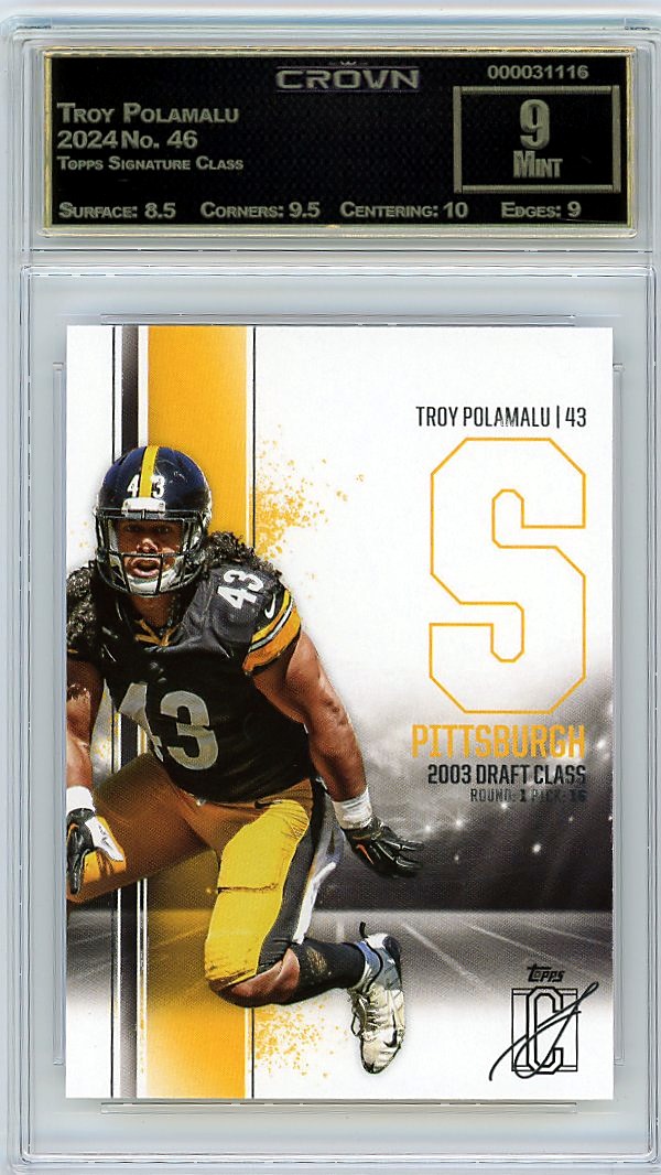 Troy Polamalu