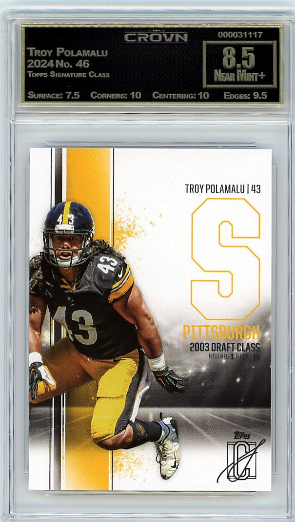 Troy Polamalu