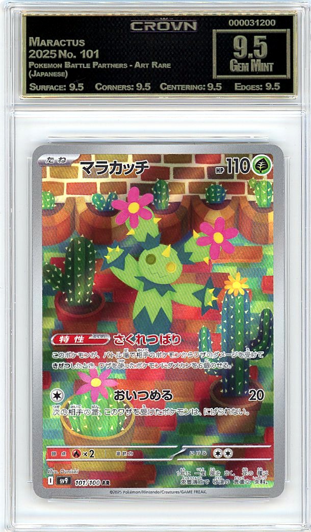 Maractus