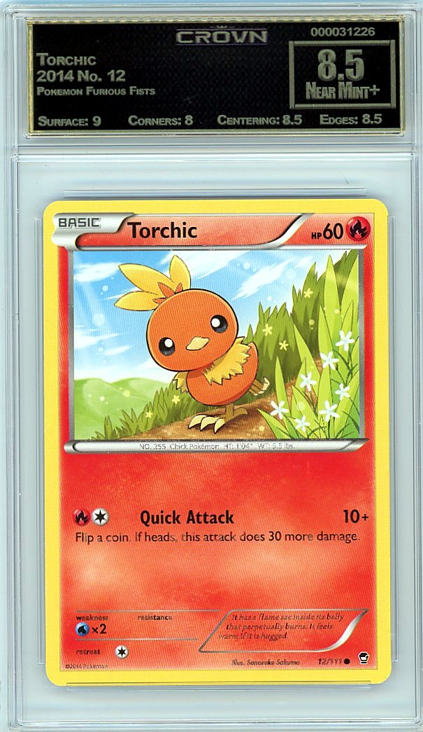 Torchic