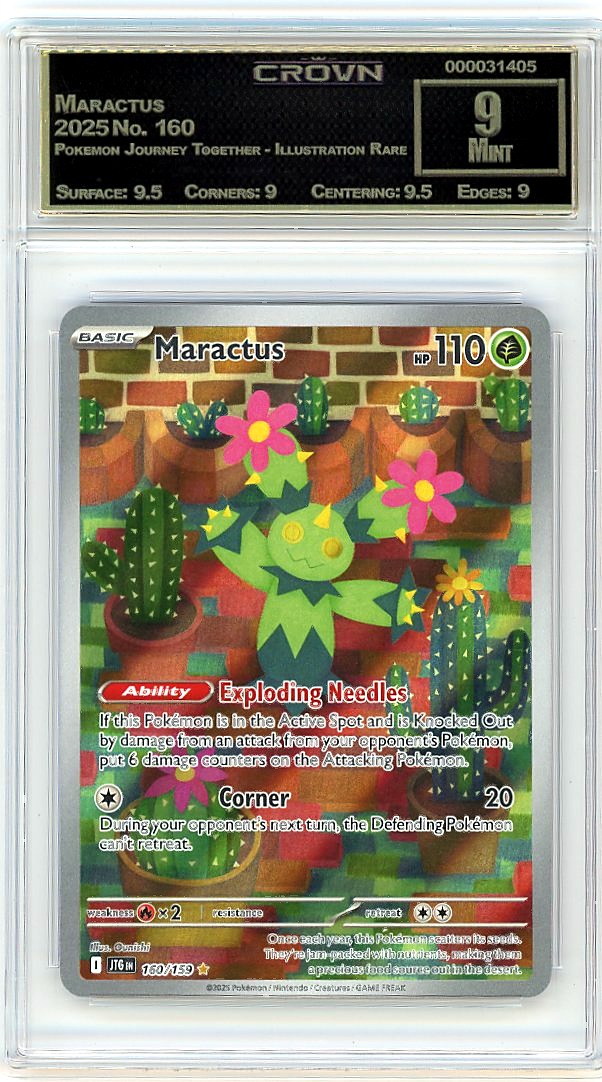 Maractus