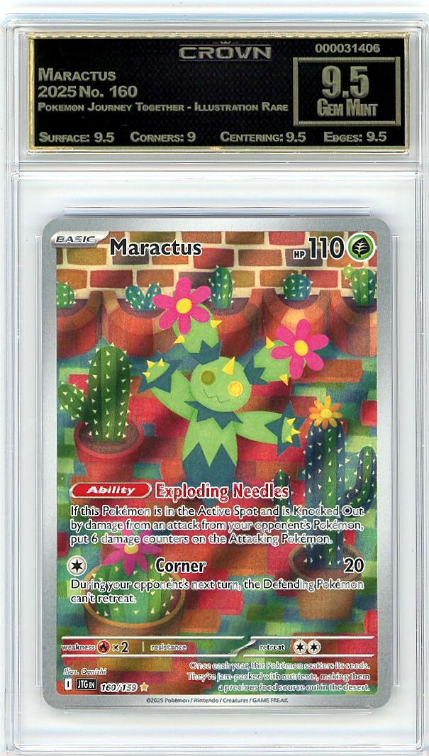 Maractus