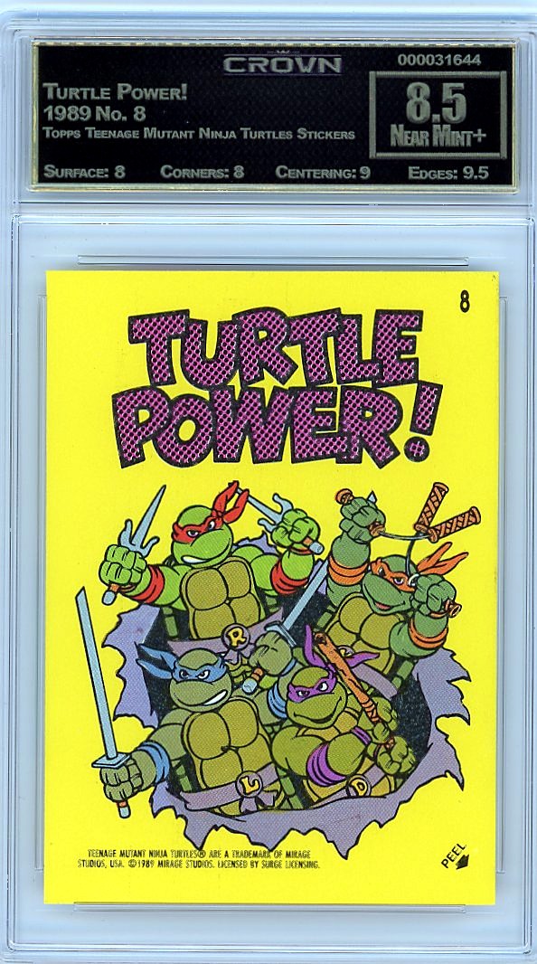 Turtle Power!