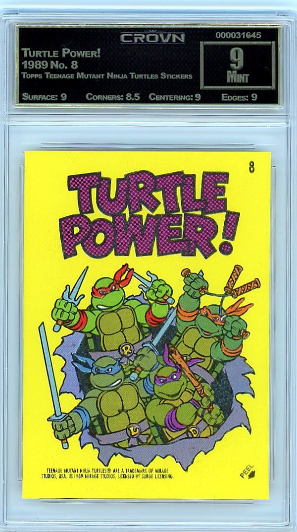 Turtle Power!