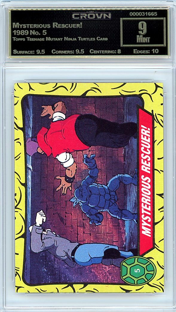 Mysterious Rescuer!