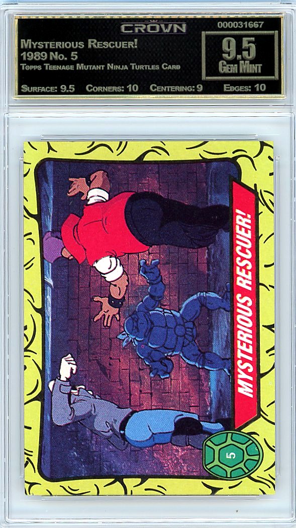 Mysterious Rescuer!