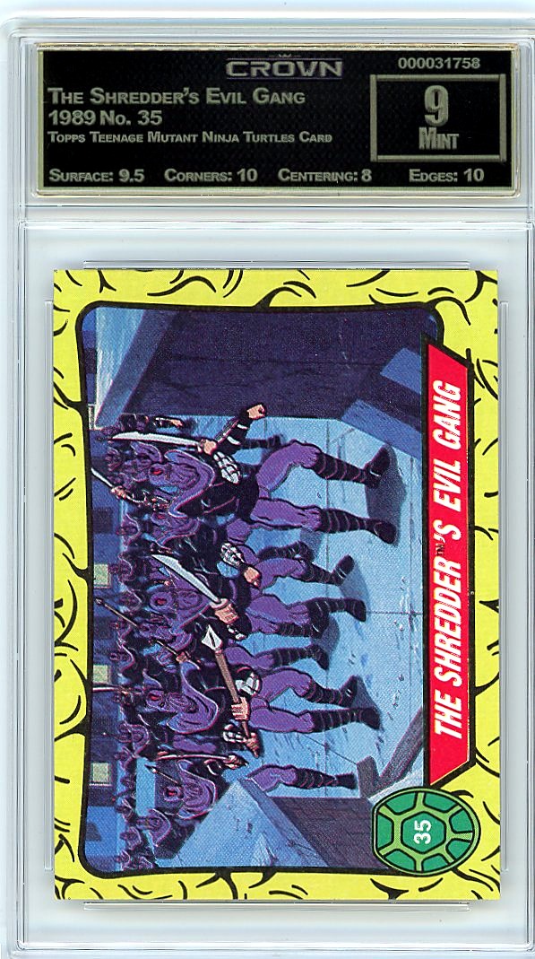 The Shredder's Evil Gang