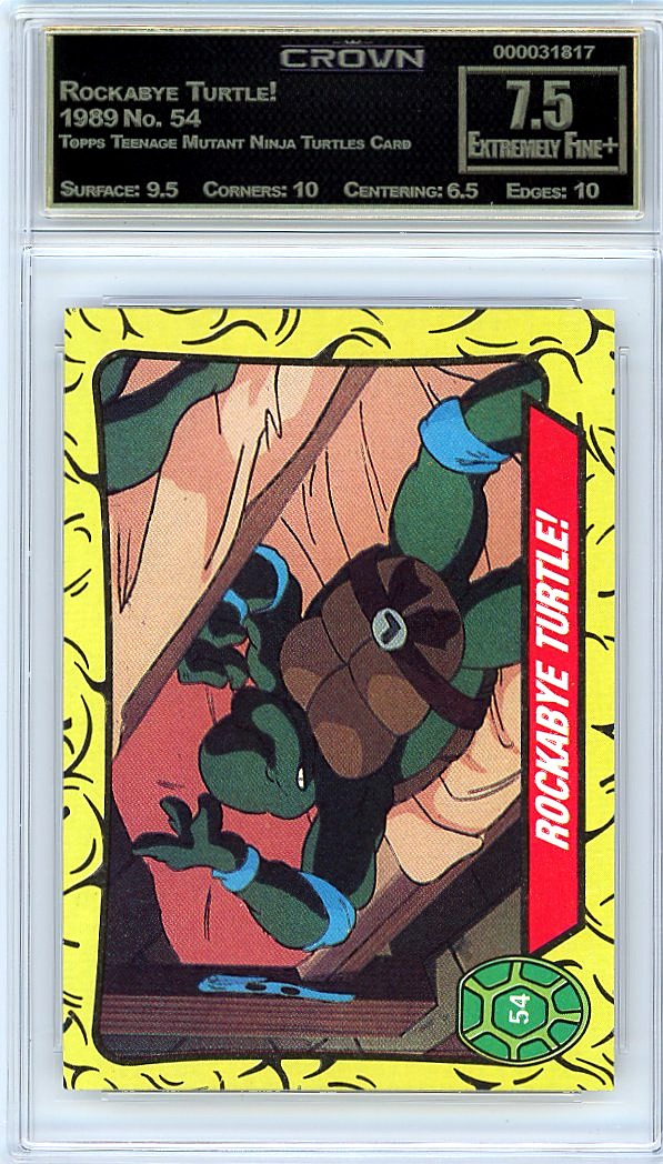 Rockabye Turtle!