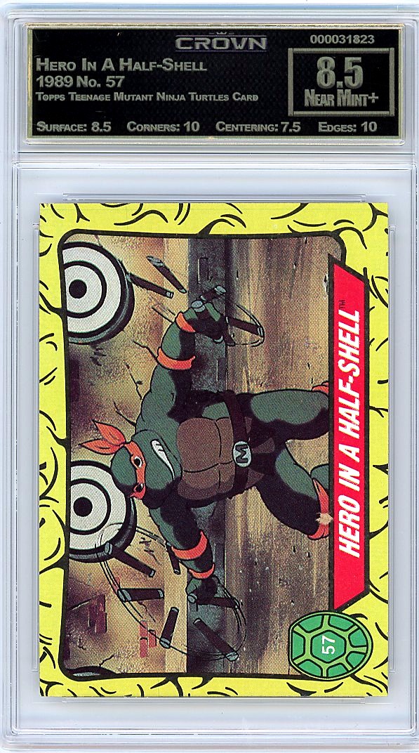 Hero In A Half-Shell