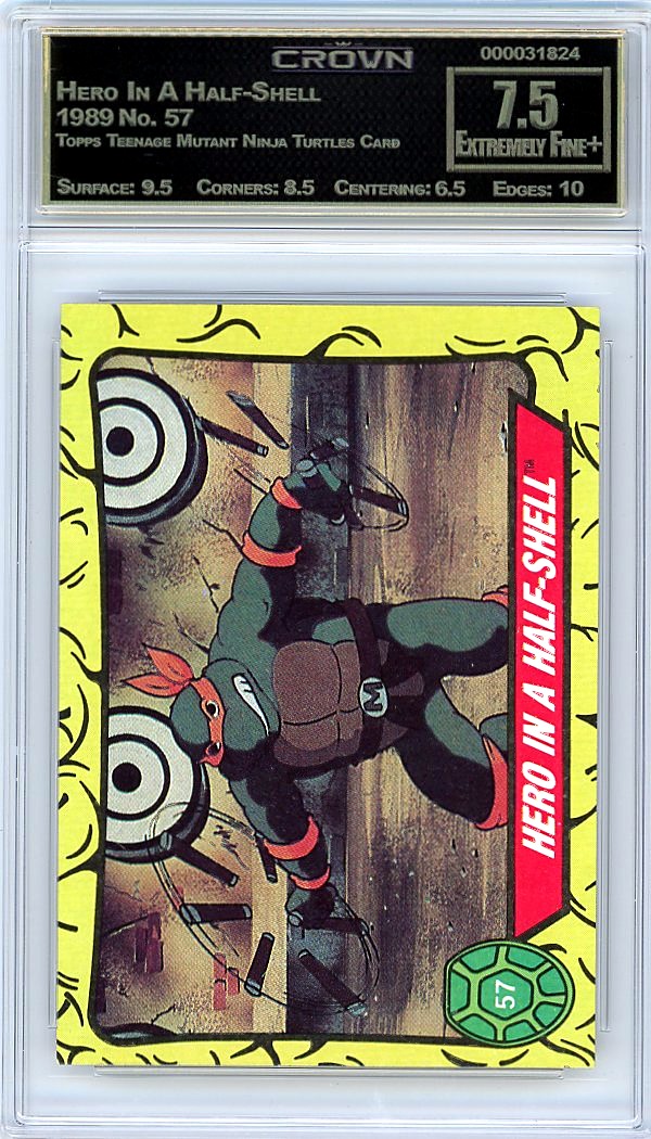 Hero In A Half-Shell