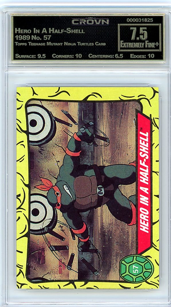 Hero In A Half-Shell