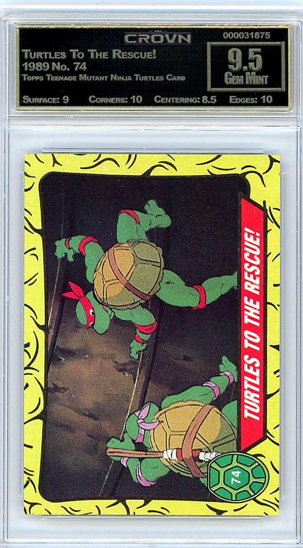 Turtles To The Rescue!