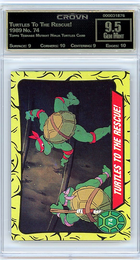 Turtles To The Rescue!