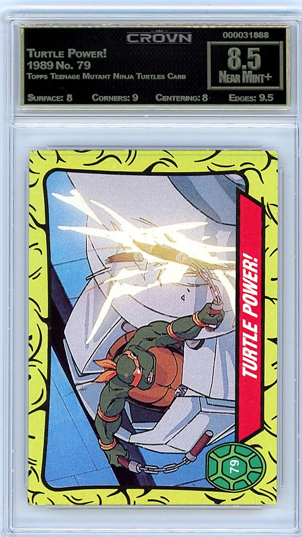 Turtle Power!