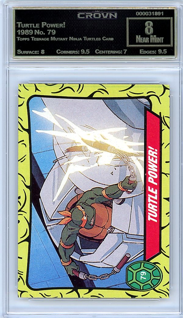 Turtle Power!