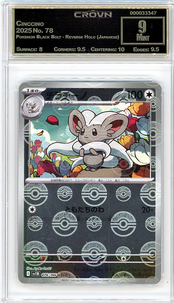 Cinccino