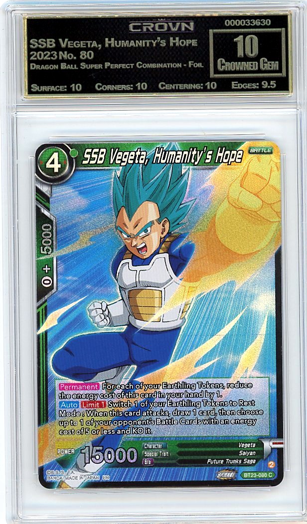 SSB Vegeta, Humanity's Hope