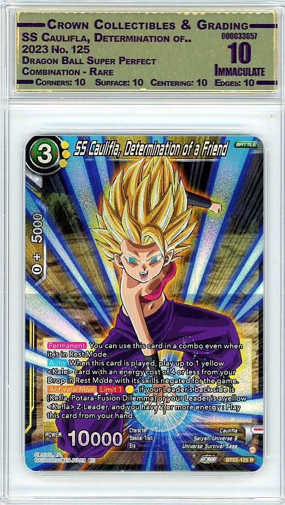 SS Caulifla, Determination of..
