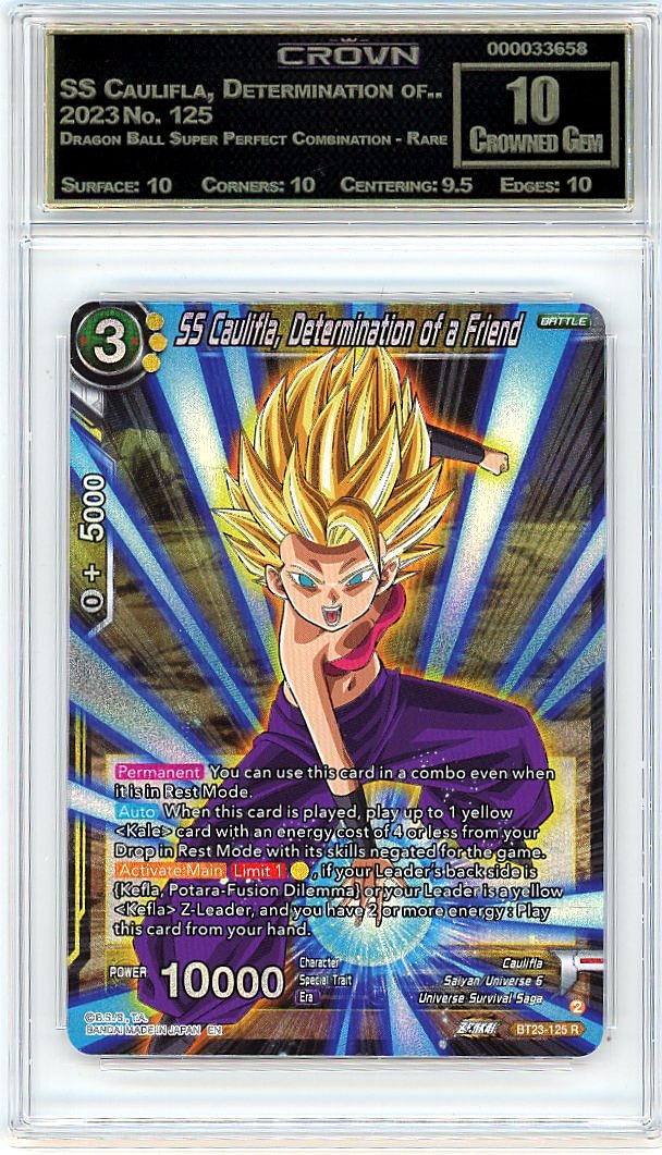 SS Caulifla, Determination of..